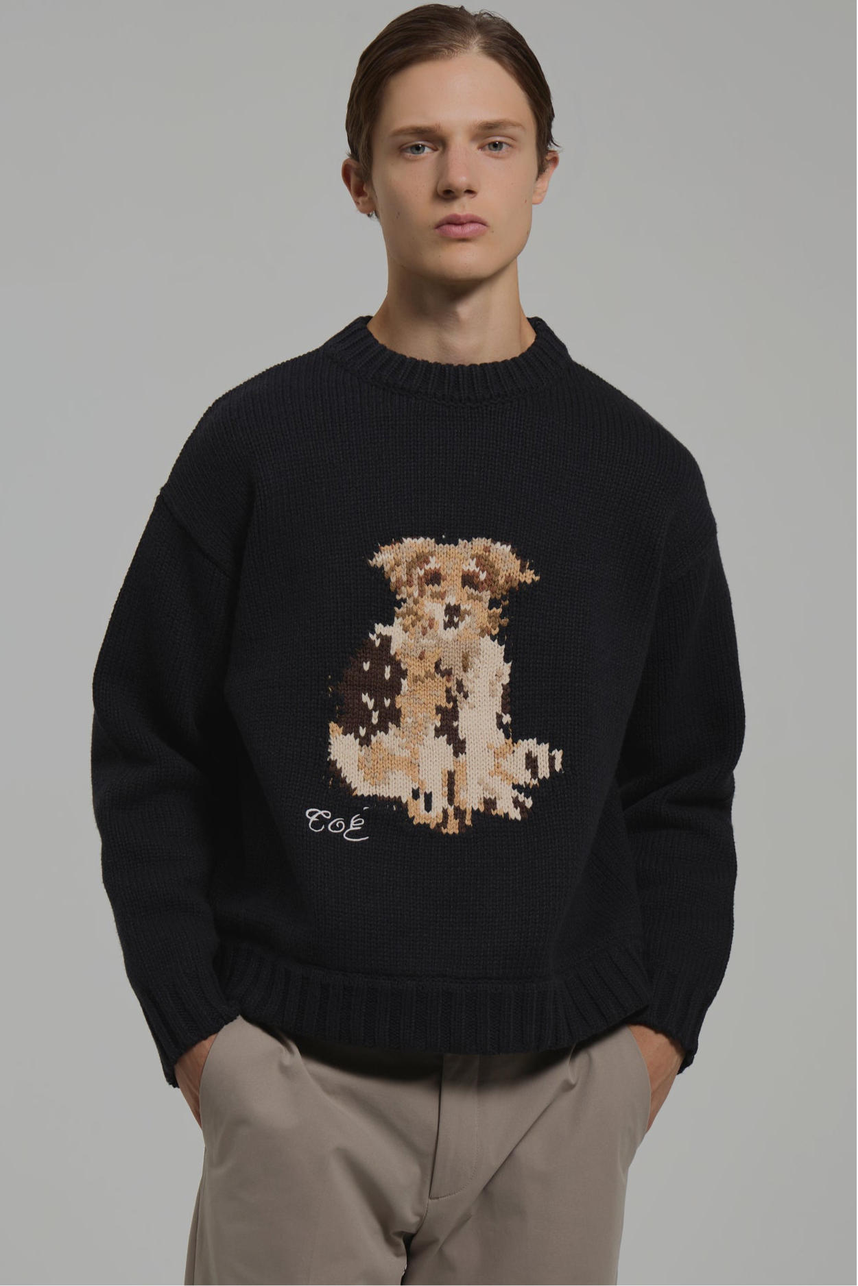 Schloss Dog Knit – THE TOÉ