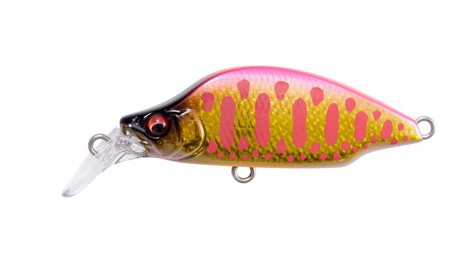 Great Hunting Bat A Fry – The Hook Up Tackle