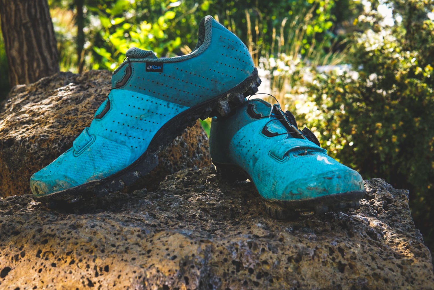 Specialized Recon 3.0 MTB Shoe Review | The Loam Wolf