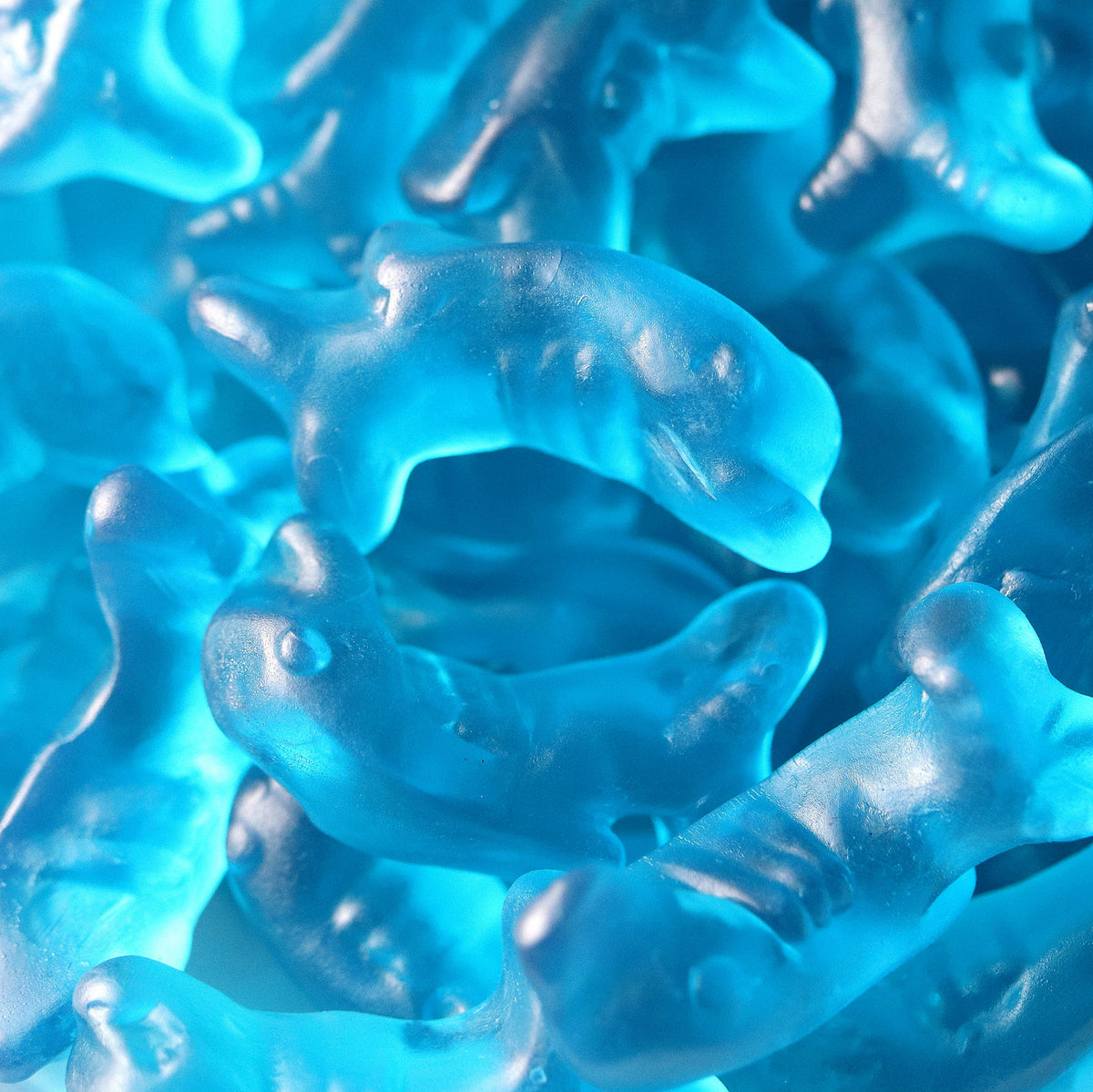 Deep Sea Dolphin Gummies | Sweetables Luxury Candy Jars