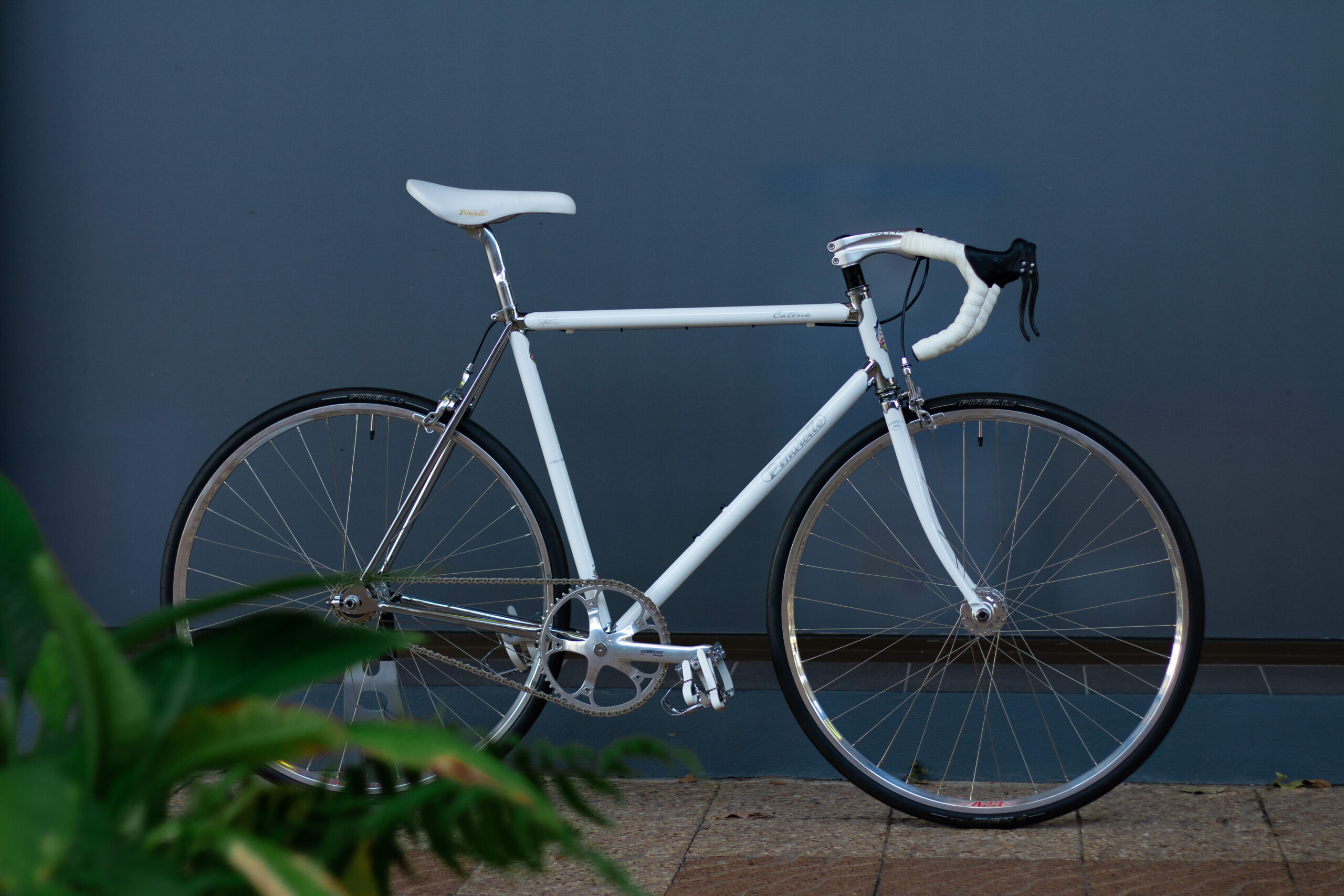 2012 Pinarello Catena - The Sedentary Cyclist