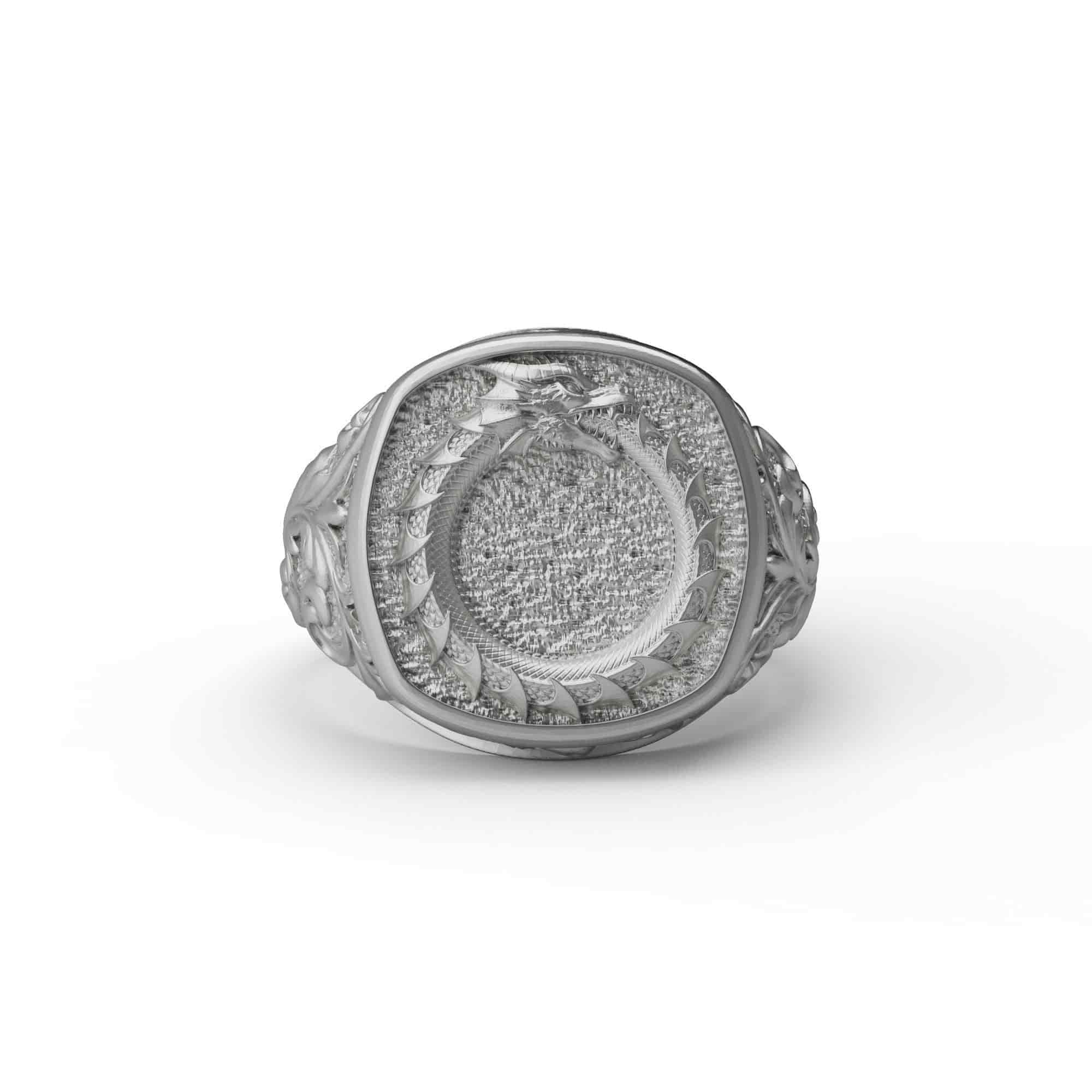 Ouroboros Signet Ring – Theswaf