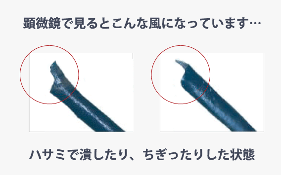 究極のセニング | セニングレボリューション
