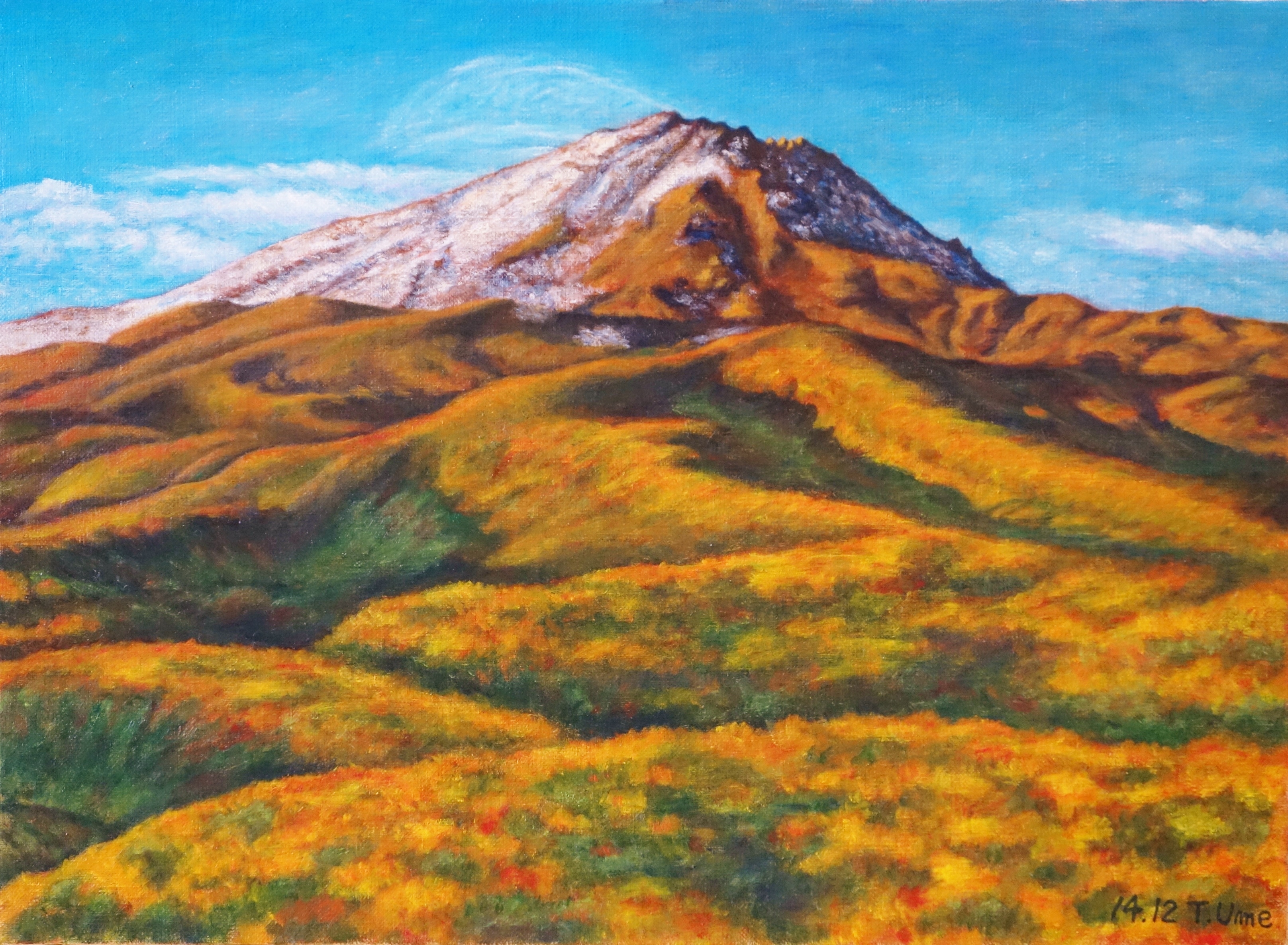 晩秋の鳥海山 | toshi-hiro ｜インテリア絵画 アートの専門通販