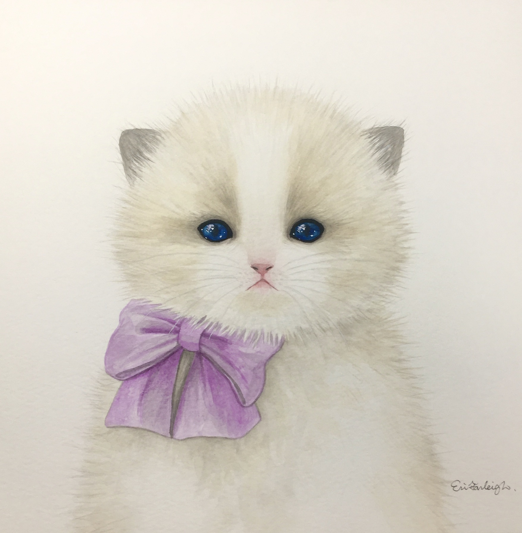 ラグドールの子猫 | ファーレイ恵梨 ｜インテリア絵画 アートの専門