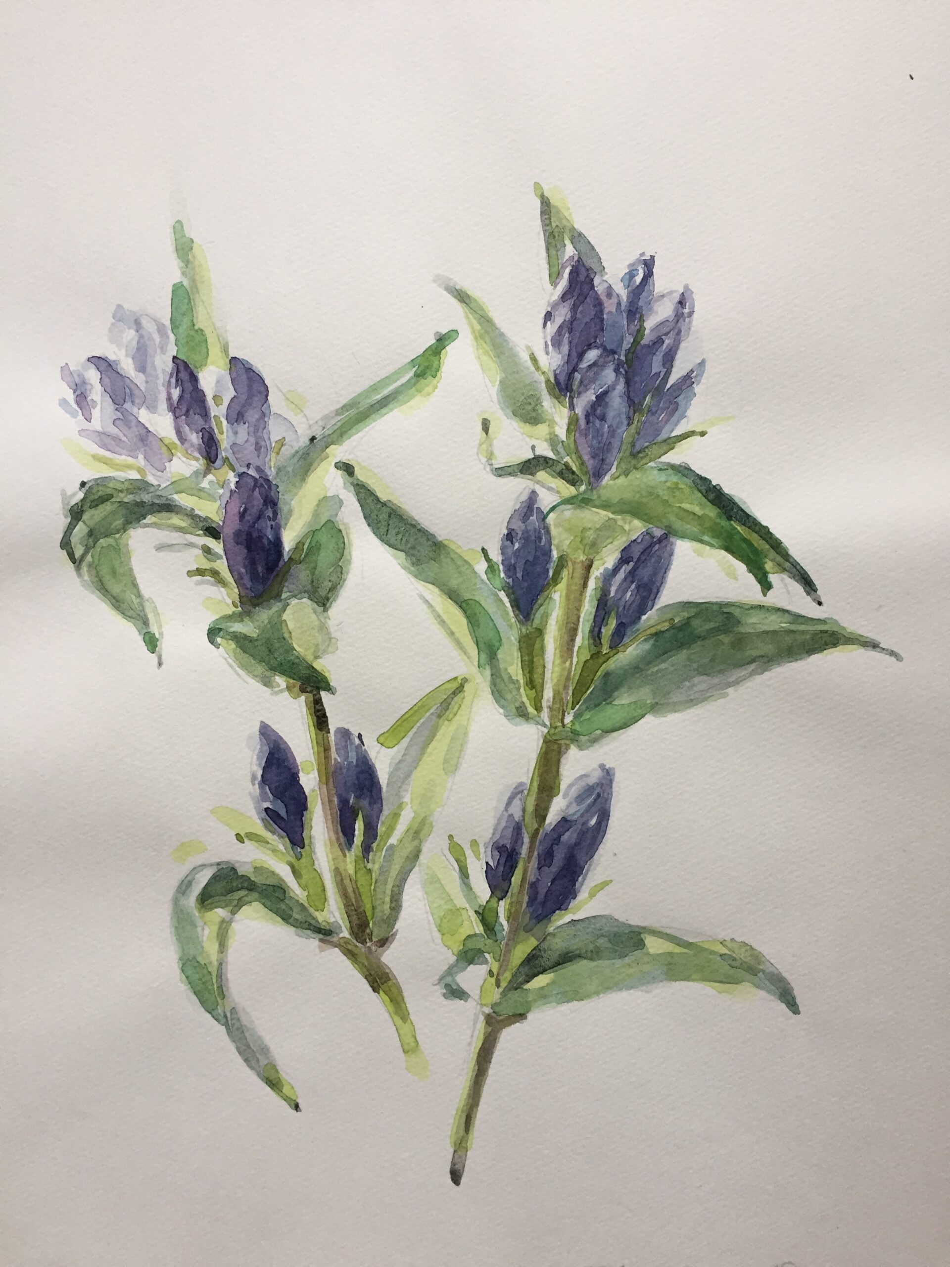 Etsuko Suzuki | 絵画販売 インテリアアート専門通販 This Is Gallery