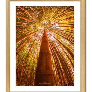 竹 | 絵画販売 インテリアアート専門通販 This Is Gallery｜初めての