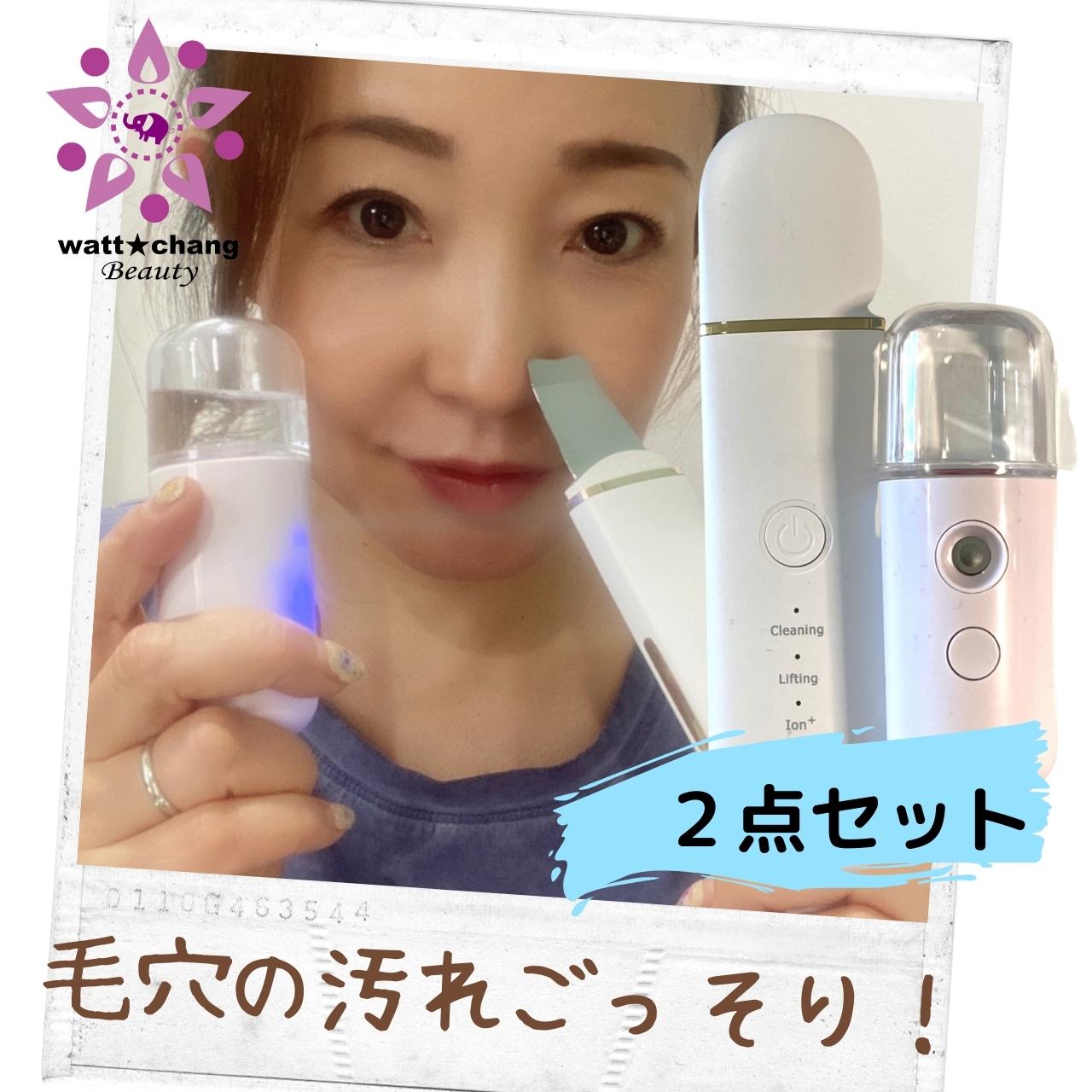 楽天市場】超 音波 スキン スクライバーの通販