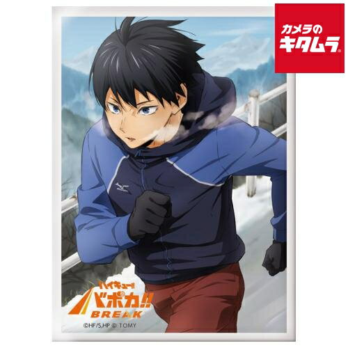 楽天市場】ハイキュー（トレーディングカードゲーム｜トレーディング