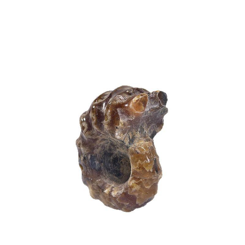 楽天市場】化石 アンモナイト（インテリア小物・置物｜インテリア