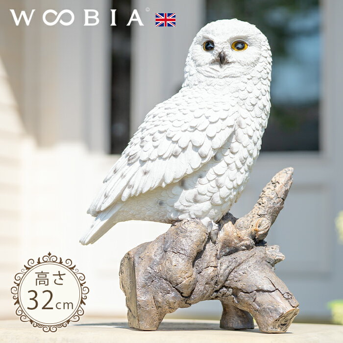 楽天市場】白 フクロウの通販