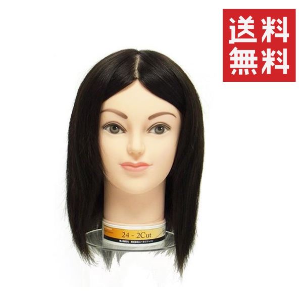 楽天市場】国家試験 カットウィッグの通販
