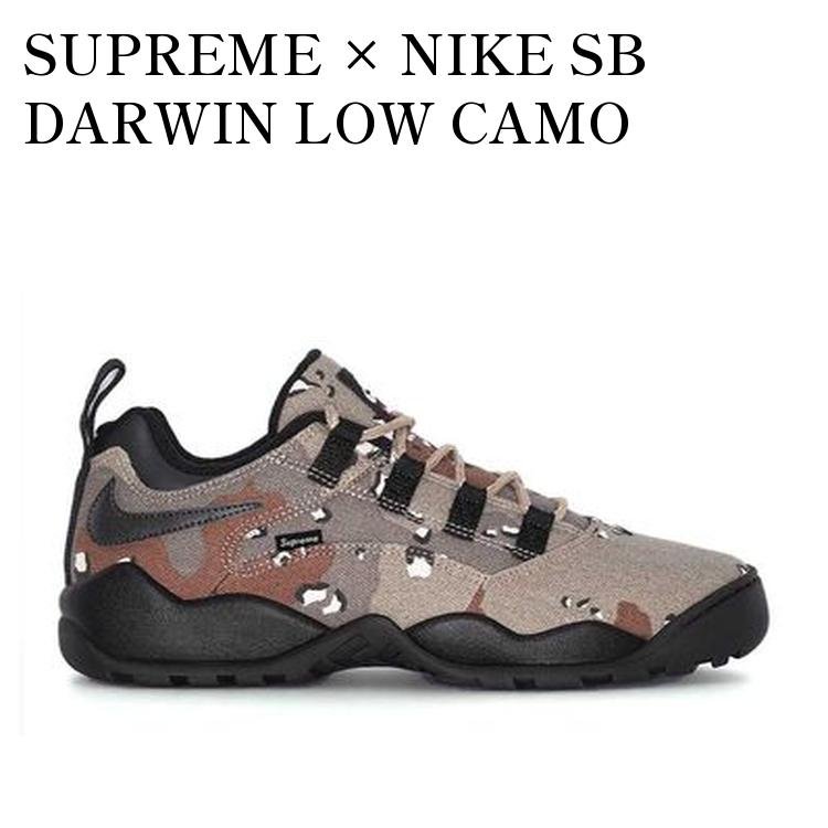 楽天市場】supreme ダーウィンの通販