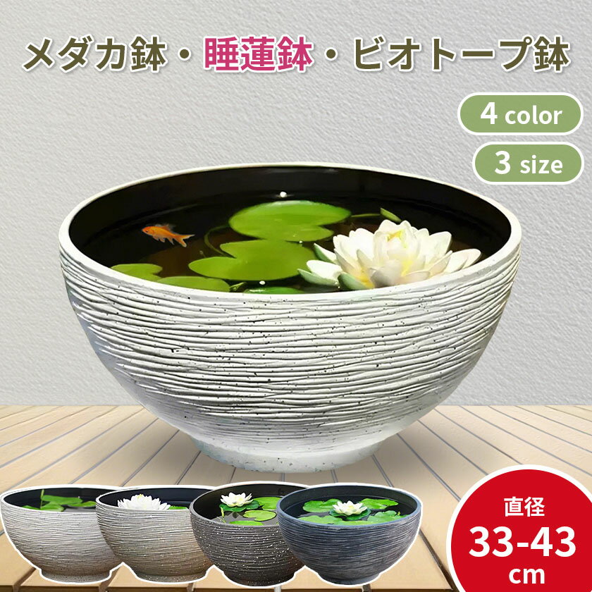 楽天市場】亀 水槽（種類（植木鉢）睡蓮鉢）（植木鉢｜植木鉢