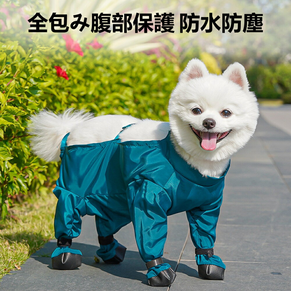 ビションフリーゼ 犬 ドッグ プルオーバー パンツ ボーダー 上下セット