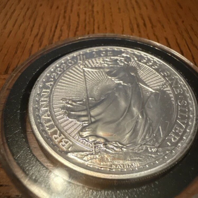 楽天市場】2020 銀貨の通販