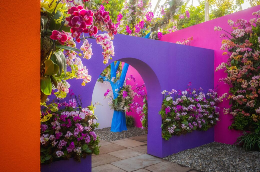 This year's NYBG Orchid Show brings the vibrancy of Mexican