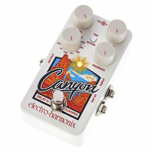 Electro Harmonix Canyon Delay & Looper – United States