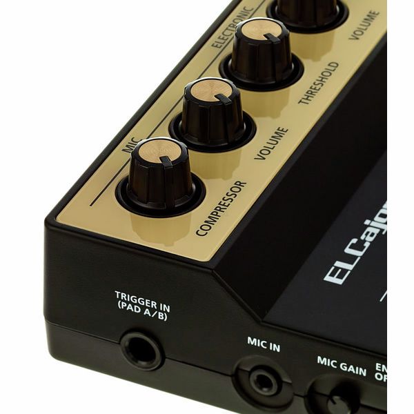 Roland EC-10M ELCajon Mic Processor – United States