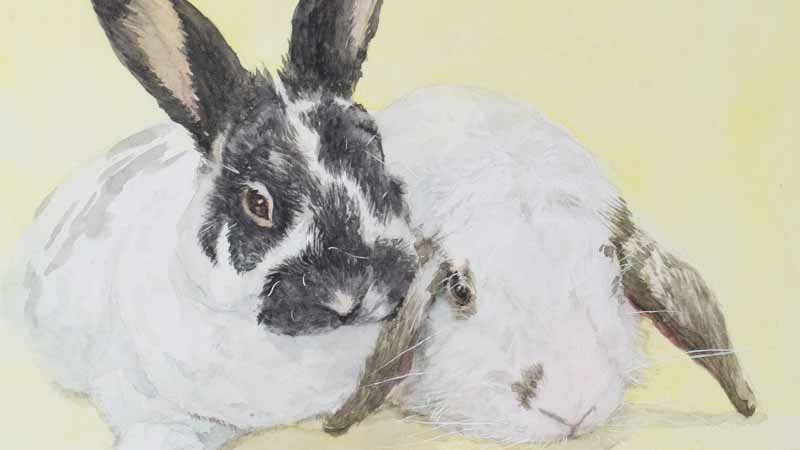 色紙にうさぎさんを描きました。ツーショット。｜木彫りうさぎのパパ