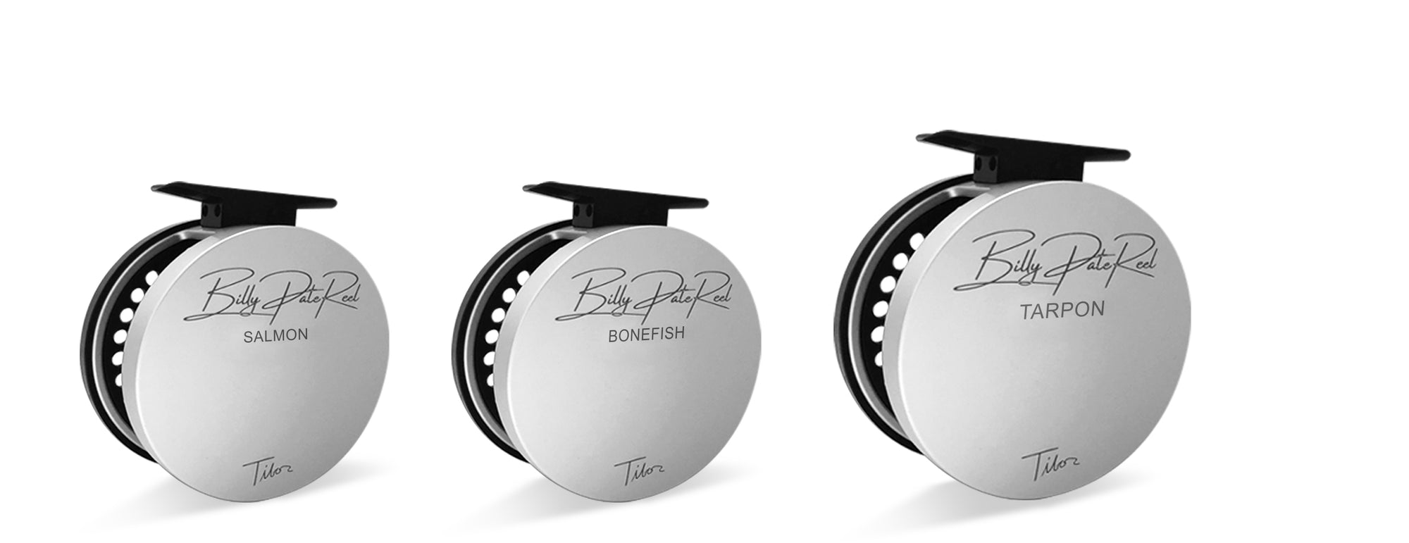 What's New - TiborReels