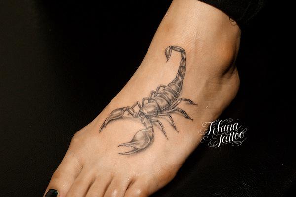 Scorpion Tattoo – Tifana Tattoo – 東京・渋谷のタトゥースタジオ