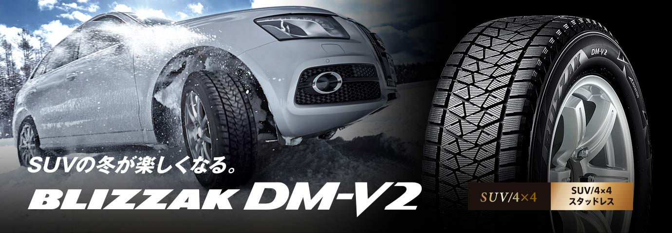 BLIZZAK DM-V2 255/55R19 111Q XL｜ブリヂストン タイヤオンラインストア