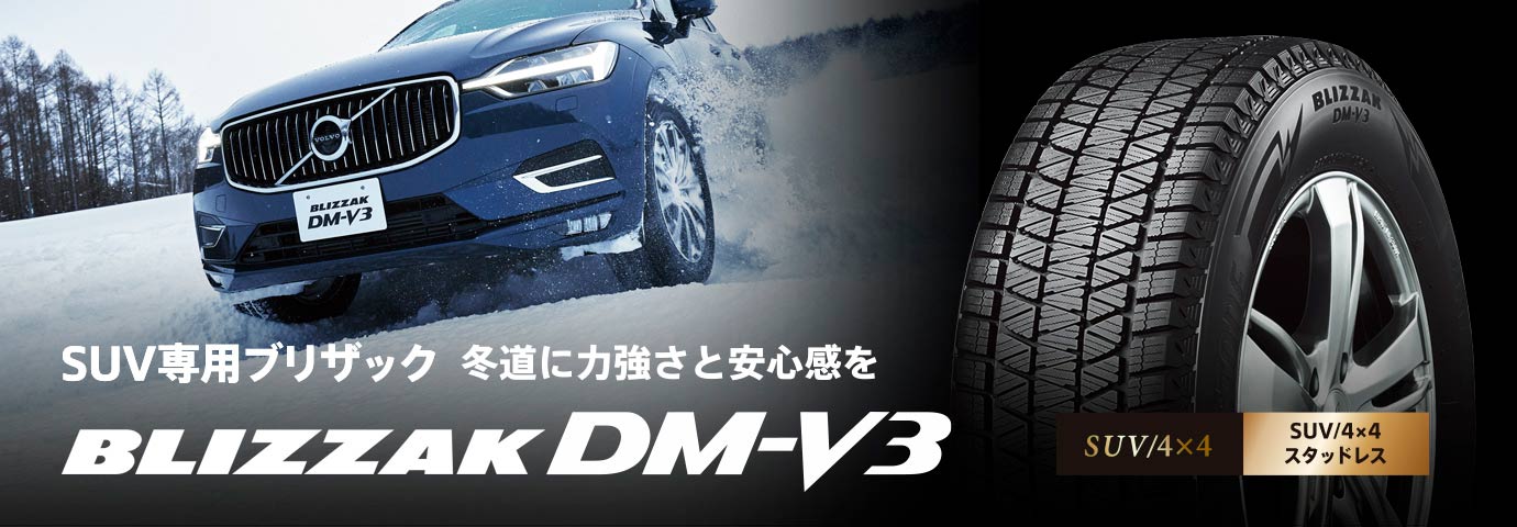 BLIZZAK DM-V3 265/60R18 110Q｜ブリヂストン タイヤオンラインストア