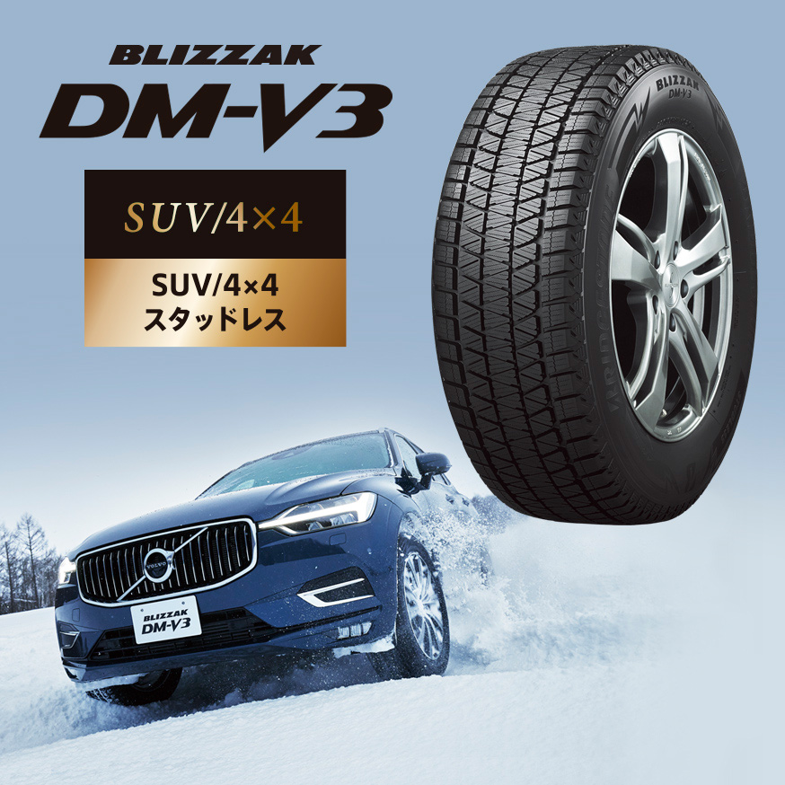 BLIZZAK DM-V3 225/65R17 102Q｜ブリヂストン タイヤオンラインストア