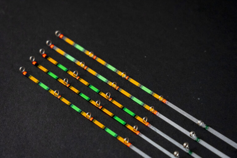 わかさぎの蔵 松 白帯 希少品 わかさぎの蔵 松 白帯 超希少