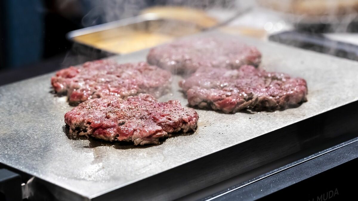 4万円｢バルミューダ｣のホットプレートは買いか スリムで人気の｢abien