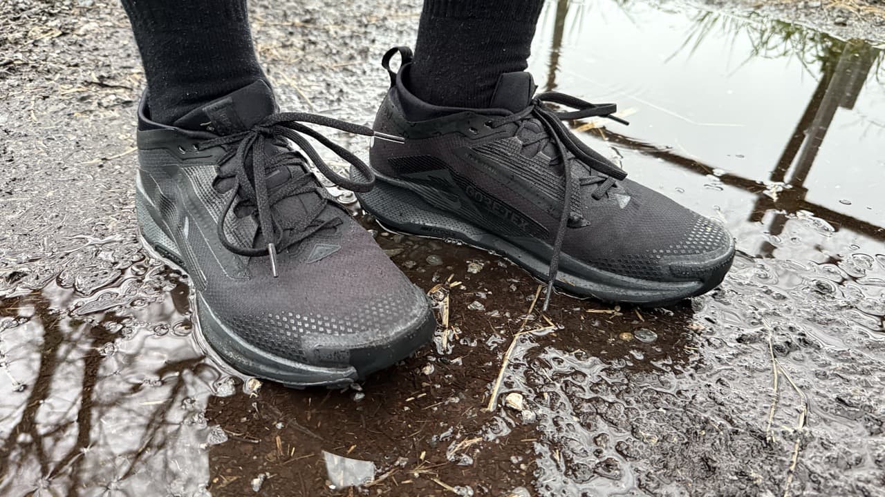 レビュー】Nike ペガサストレイル 5 GTX：美しすぎる防水トレラン