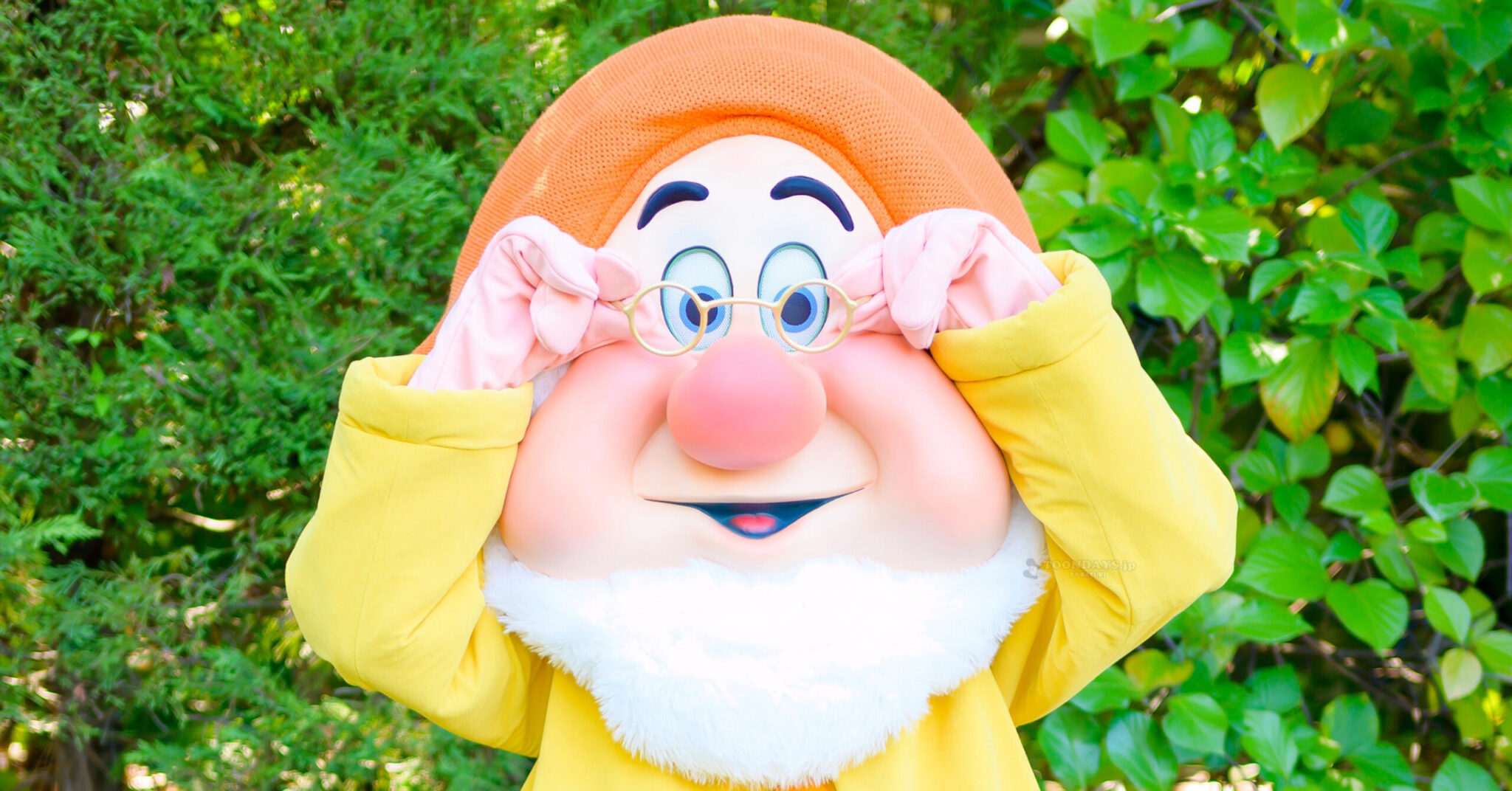 全紹介】ドック／先生（『白雪姫』7人のこびと）– 会える方法は