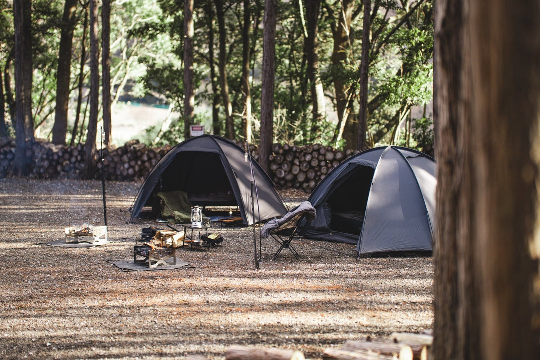 DSC06075image_01_1080x.jpg?v=