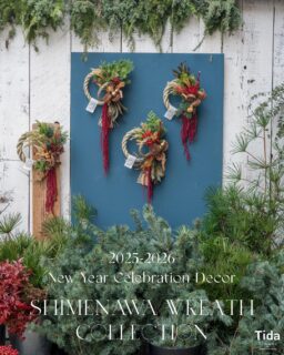 TOKYO FANTASTIC – ドライフラワーと、うつわと暮らし。Tida Flower