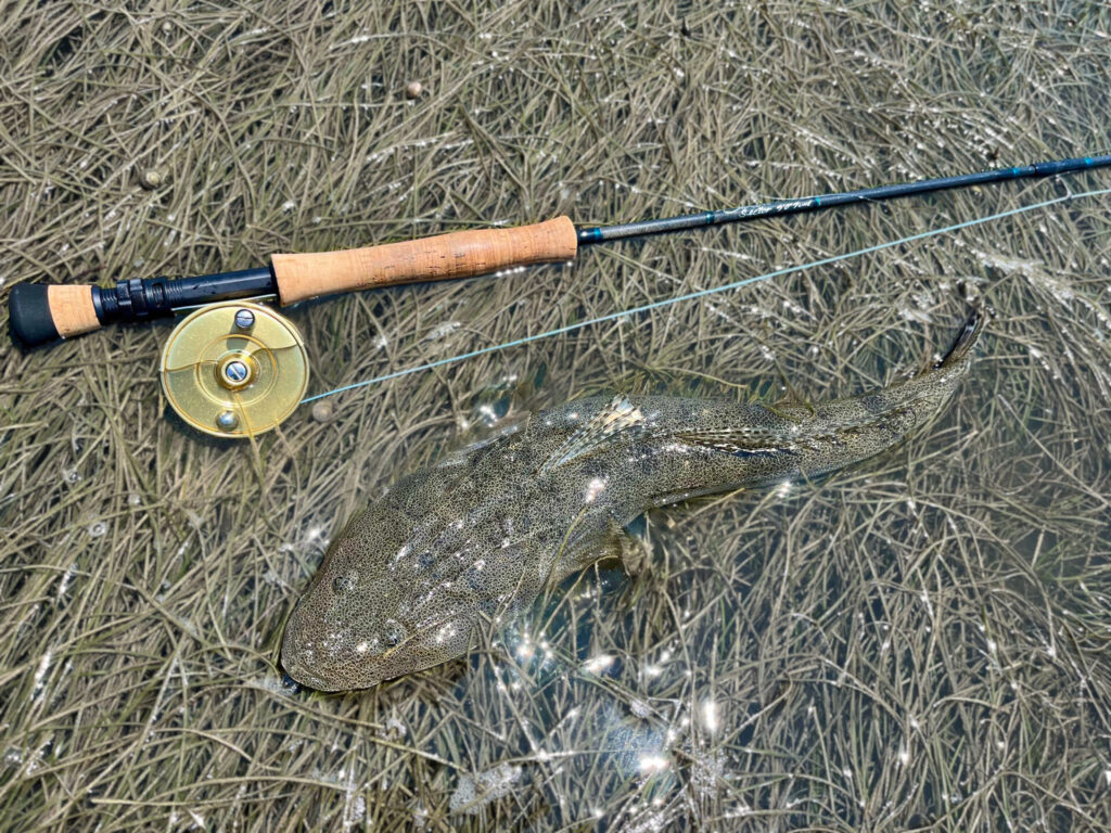 シングルハンド8番タックル | Tokyo Fly Fishing & Country Club