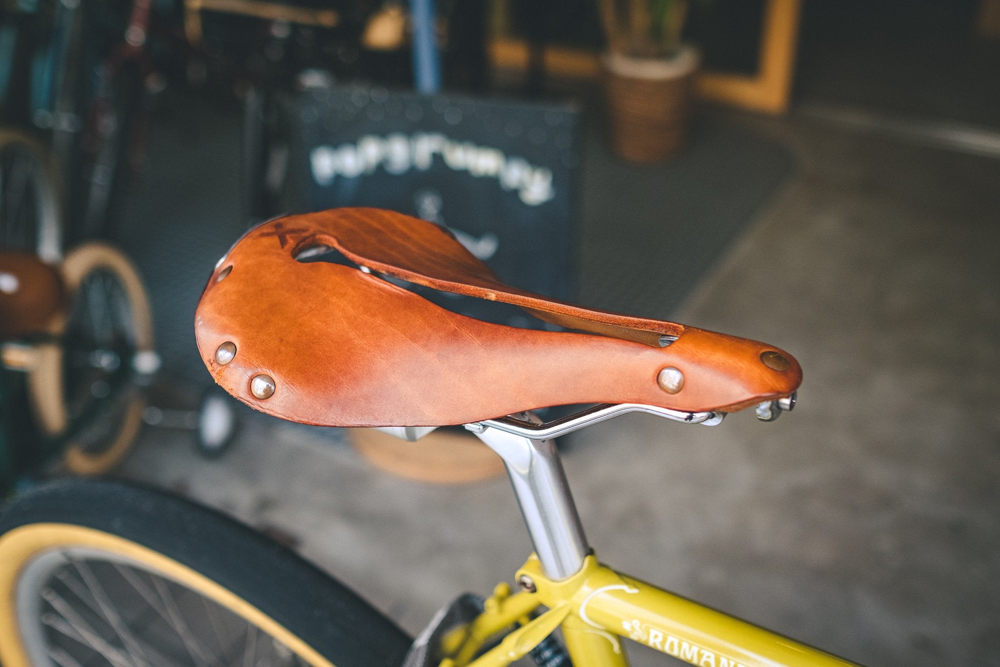 DSCF7354_2048x.jpg?v=1596190403