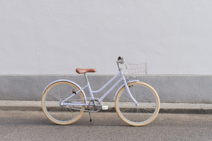 tokyobike archive 54 TOKYOBIKE Jr. Step カスタマイズ - トーキョー