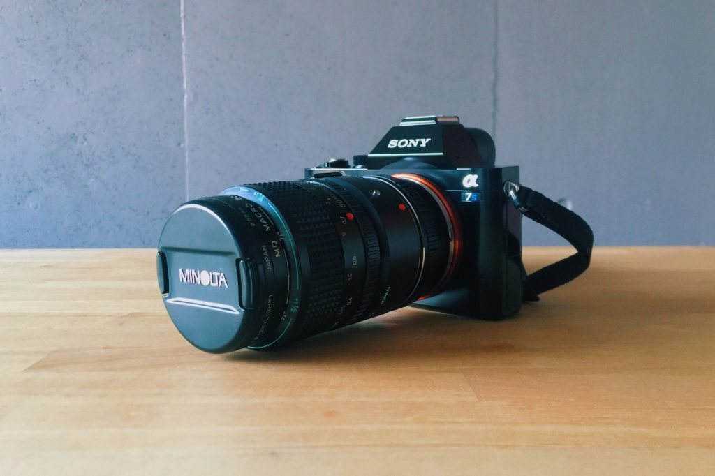 α7sとオールドレンズ再び。植物撮影に欠かせないマクロレンズ「MINOLTA