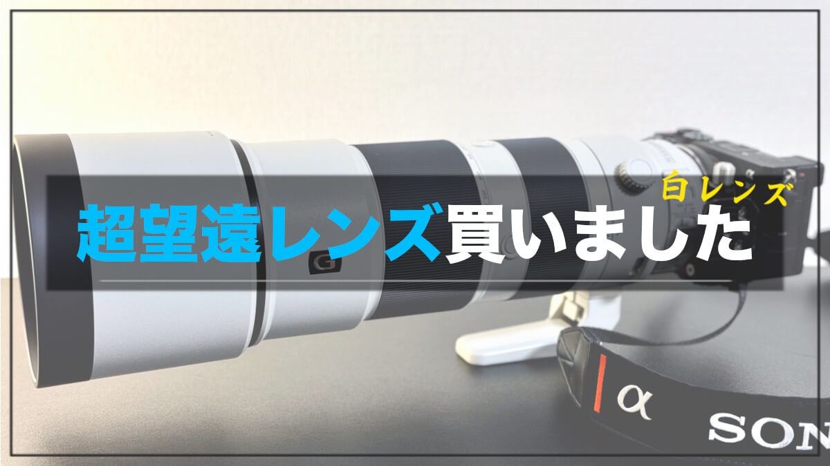 SONY(ソニー)の超望遠白レンズ 200-600mmを購入 作例と共に値引き交渉