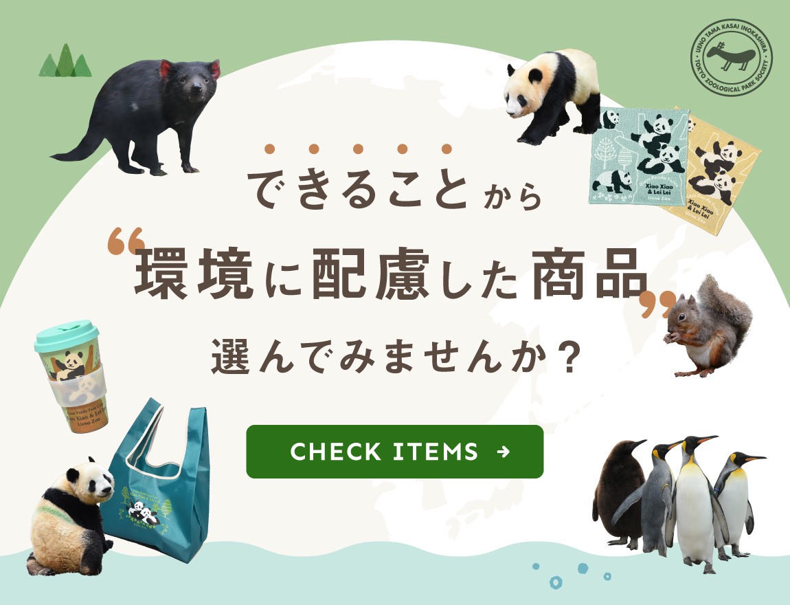 TOKYO ZOO SHOP｜都立動物園公式オンラインショップ
