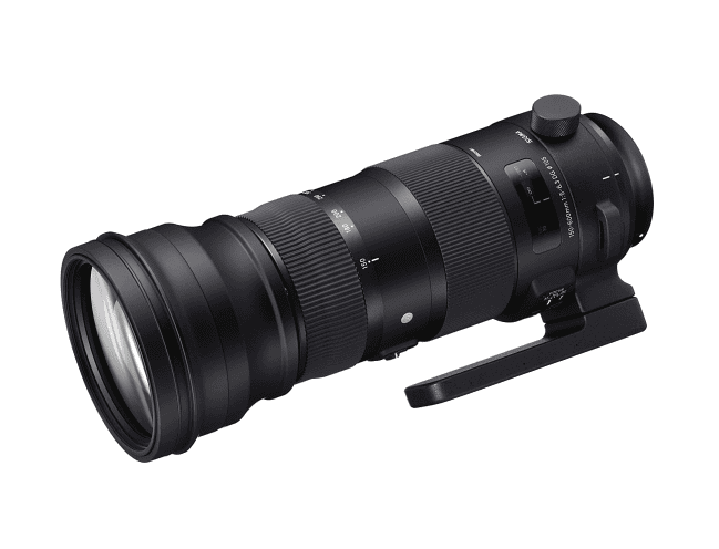 レンタル]SIGMA 150-600mm F5-6.3 DG OS HSM(Canon EFマウント