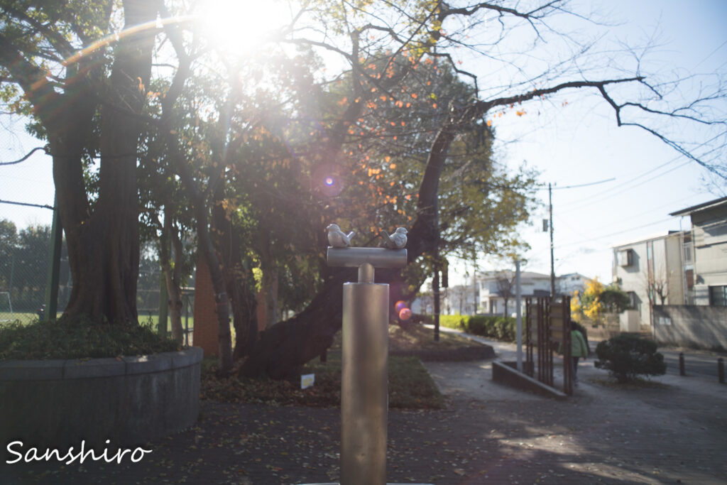 KONICA HEXANON AR 24mm F2.8 – コニカ ヘキサノンAR24mm F2.8