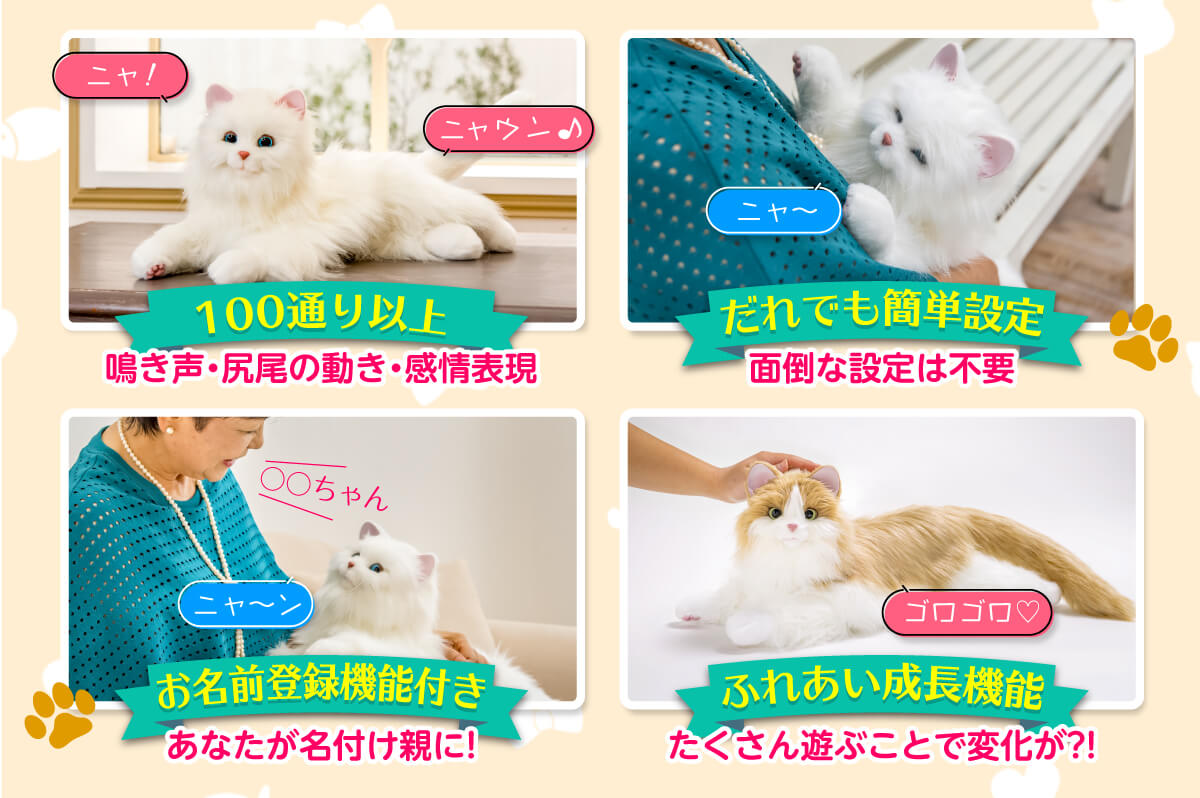 あまえんぼう ねこちゃん｜株式会社トキワカメラ