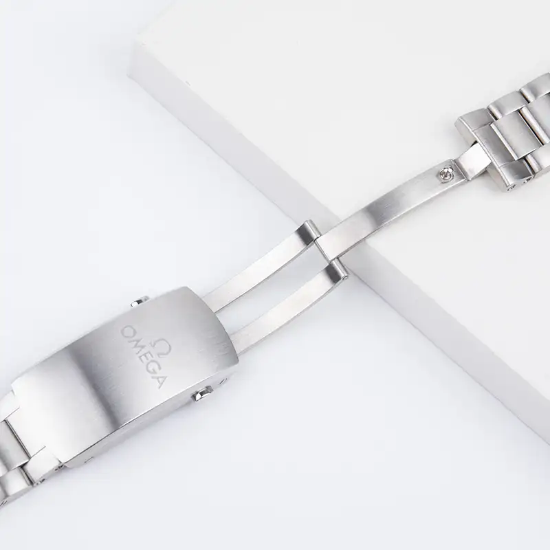 21mm Bracelet for Omega Seamaster Planet Ocean 600M Stainless