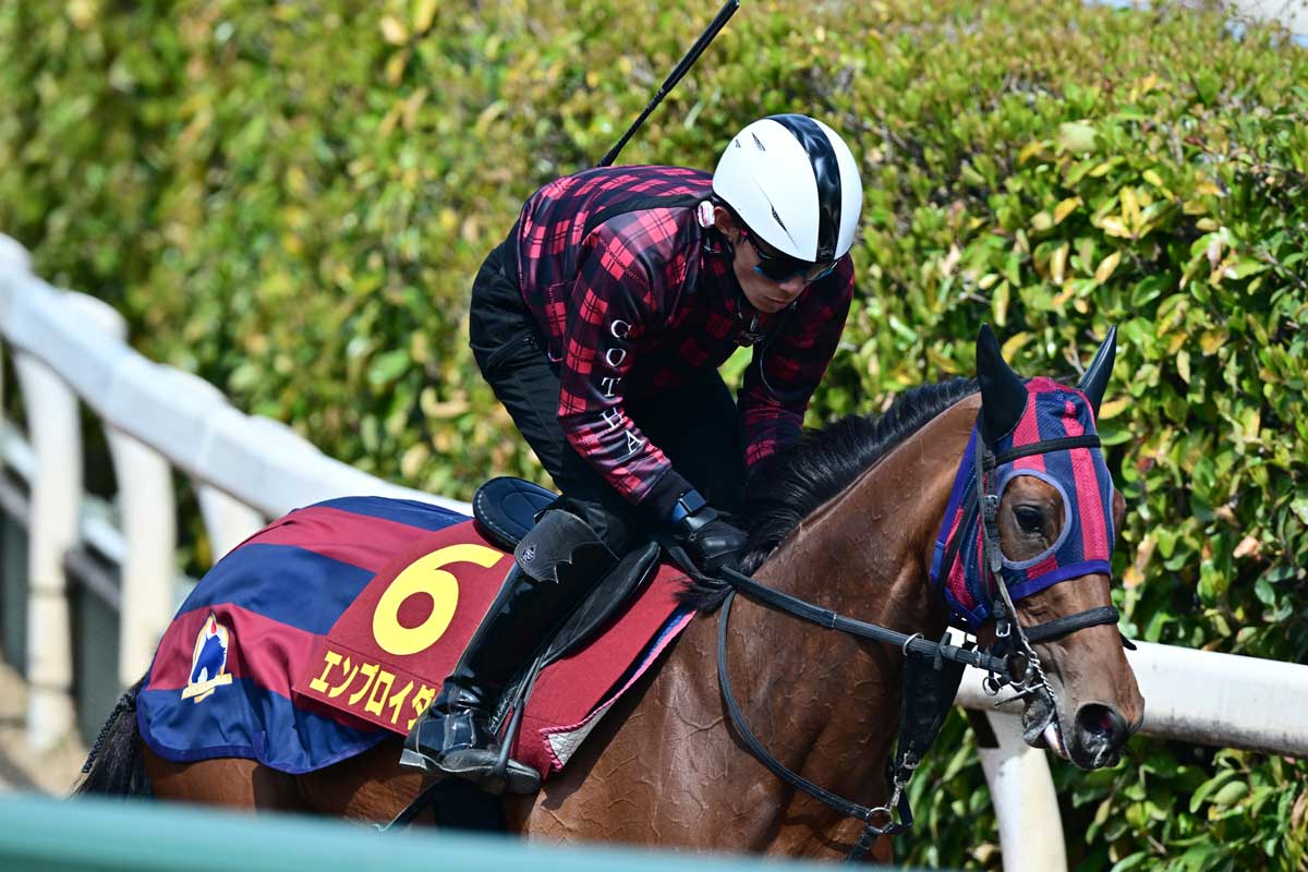 桜花賞・調教後の馬体重】アルマヴェローチェは16キロ増の500キロ