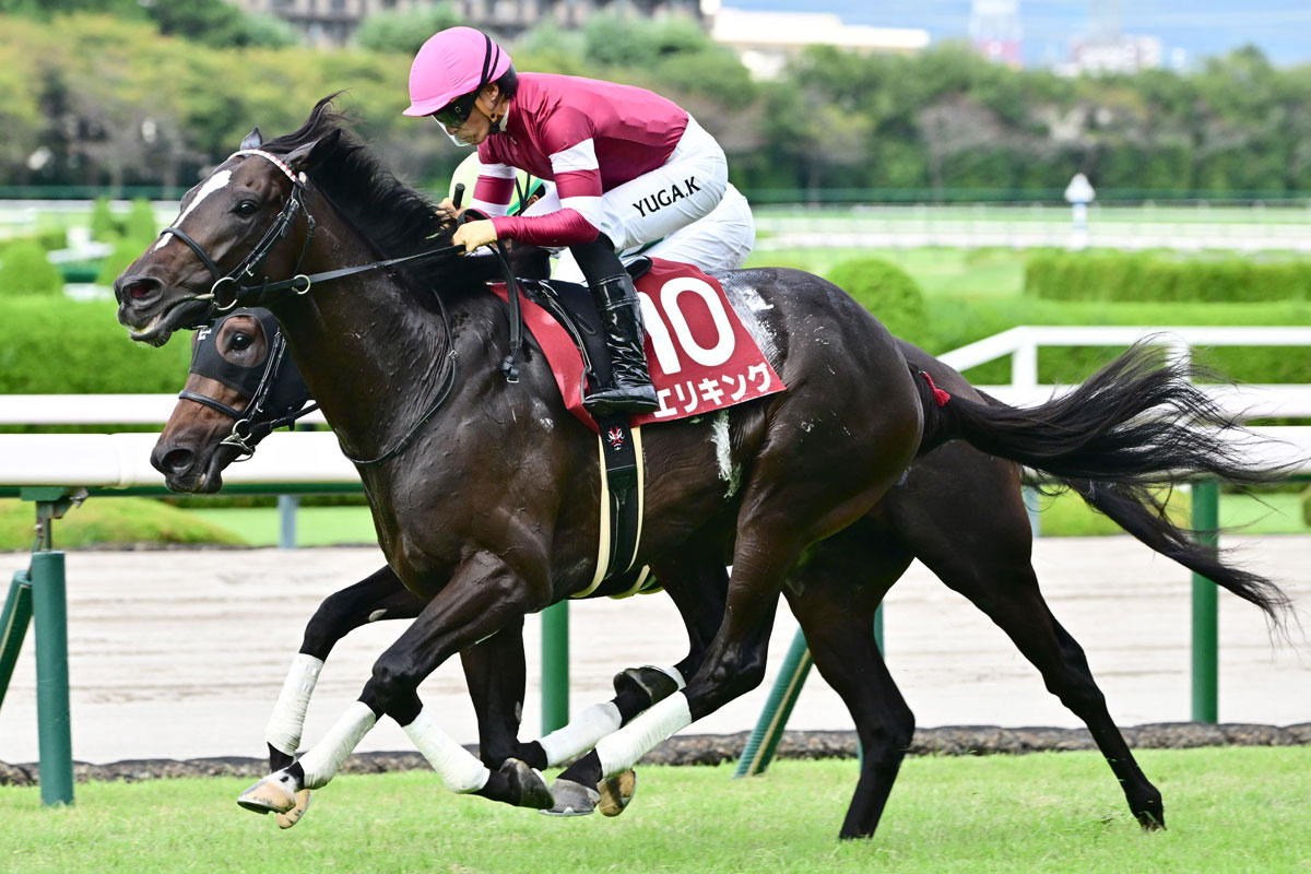 菊花賞・登録馬】大激戦のラスト1冠 世代屈指の能力！エリキングが主役