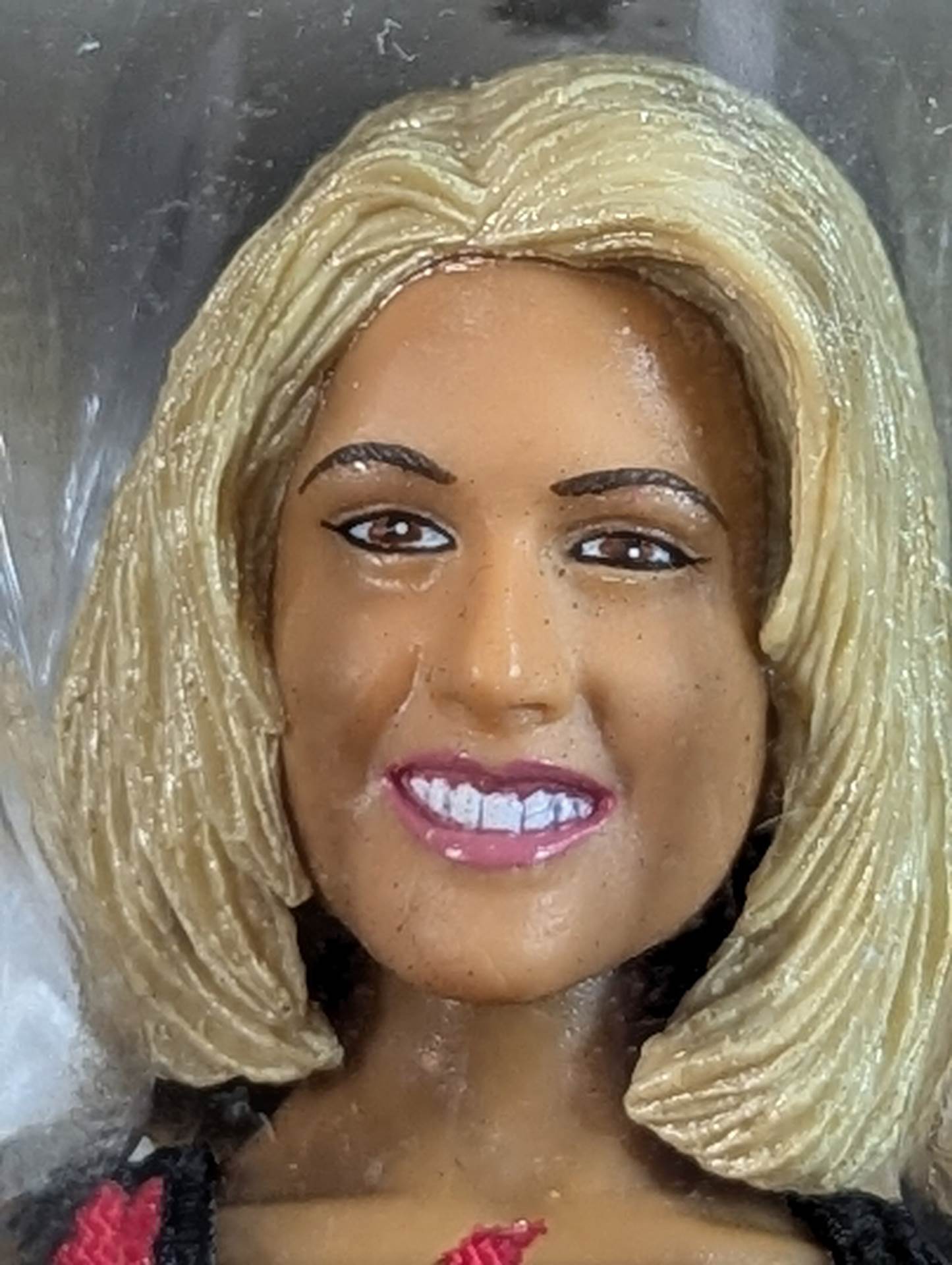 LEGION OF DOOM ホーク＆アニマル with サニー (リージョン・オブ