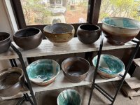 ヨコヤマ コーデックスアートギャラリー＜TOP＞ ～アガベ・塊根植物の