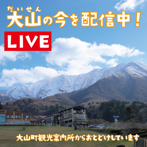 大山の「今」を見る ライブカメラ | 鳥取大山観光ガイド